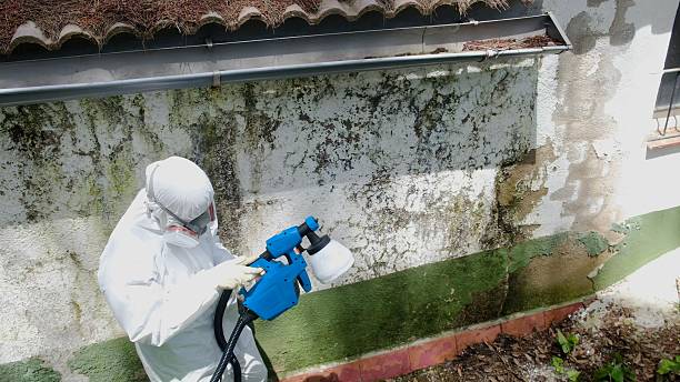 Top rated local Commercial Mold Remediation specialists in Oak Ridge, NJ